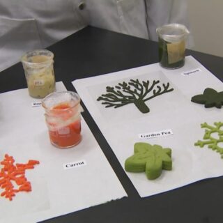 Menu Brunch Unik: Nasi Goreng Truffle dan Teh Bunga Telang